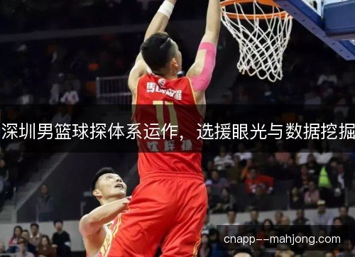 深圳男篮球探体系运作，选援眼光与数据挖掘
