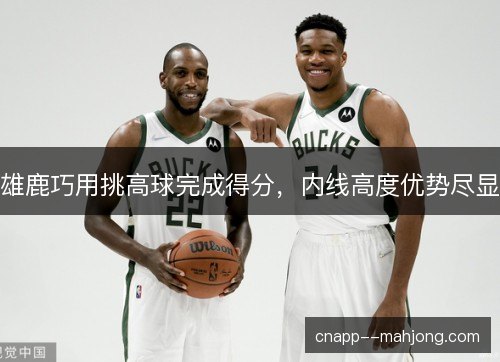 雄鹿巧用挑高球完成得分，内线高度优势尽显