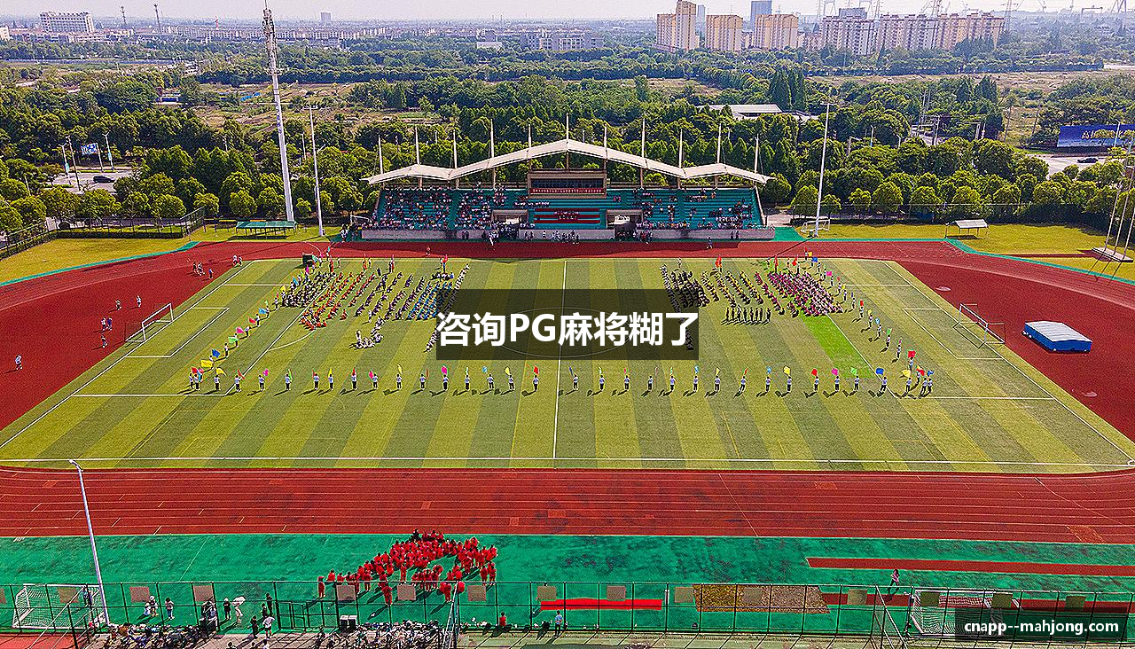 咨询PG麻将糊了